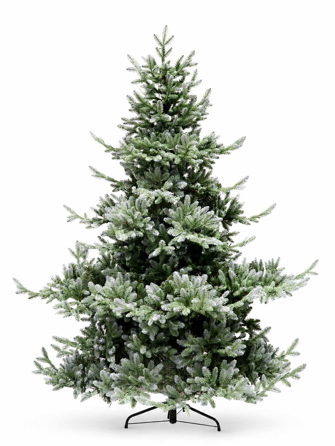 Jackson Fir Tree, LED Lit, 6.5'