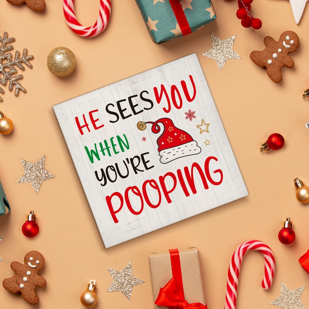 Christmas Bathroom Decorations, Funny Christmas Wood Sign Decor 5x5 Inches