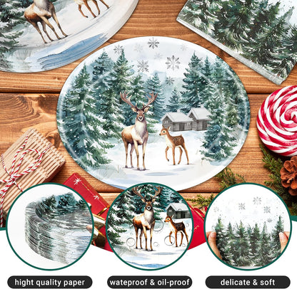 100Pcs Christmas Oval Paper Plates and Napkins,12"x10" Winter Large Plates