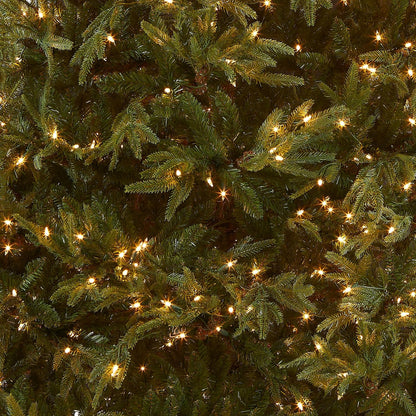 National Tree Company 7.5ft Pre-Lit Fraser Grande Artificial Christmas Tree