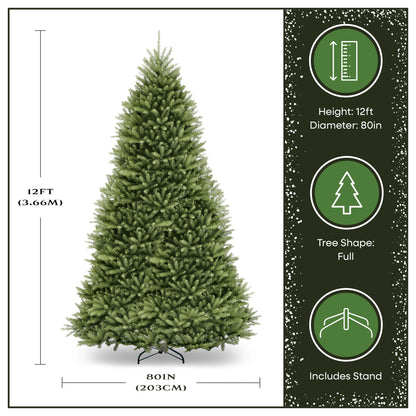 12 ft. Dunhill Fir Tree