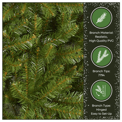 12 ft. Dunhill Fir Tree