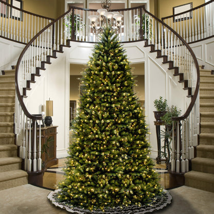 14 ft. Dunhill Fir Tree