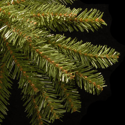 14 ft. Dunhill Fir Tree
