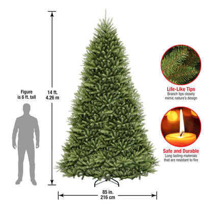 14 ft. Dunhill Fir Tree
