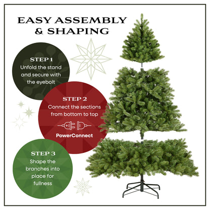 7.5 ft. Pre-Lit Dunhill Fir Hinged Tree with PowerConnect Clear Lights, Plug-In