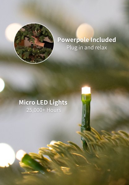 9' Hancock Spruce Artificial Christmas Tree 750 Warm White LED Lights