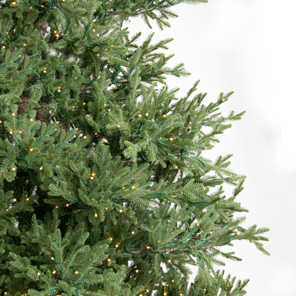 Vail Spruce Tree, LED Lit, 12'