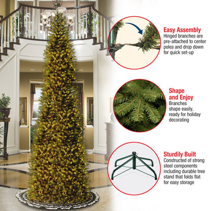 14 ft. Pre-Lit Kingswood Fir Pencil Tree with Clear Lights, Plug-In