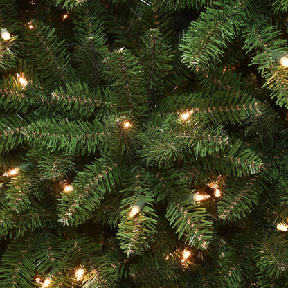 7.5 ft. Pre-Lit Kingswood Fir Pencil Tree with Clear LED Lights, Plug-In