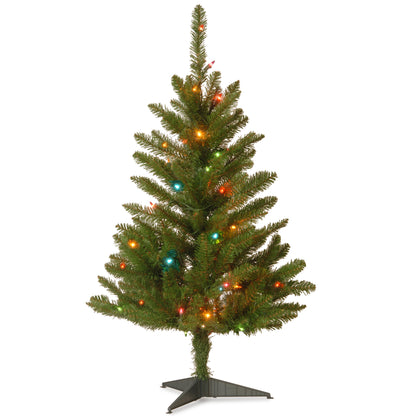 3 ft. Kingswood Fir Tree with Multicolor Lights