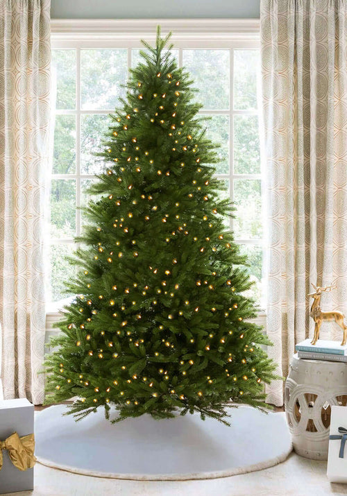 12' King Fraser Fir Artificial Christmas Tree with 3000 Warm White & Multi-Color LED Lights