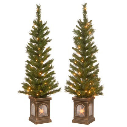 4 ft. Pre-Lit Leigh Valley Tree Set with Clear Lights, Plug-In