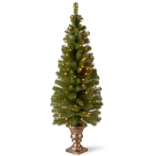 5 ft. Pre-Lit Montclair Spruce Slim Tree with Clear Lights, Plug-In