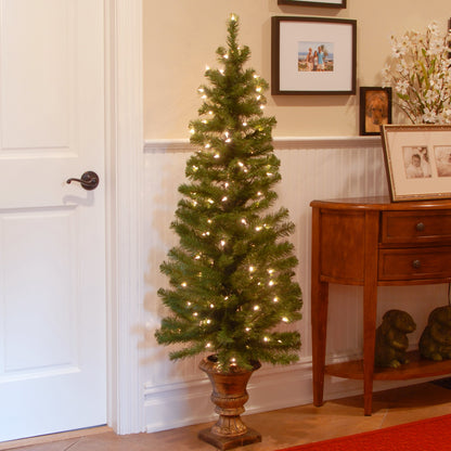 5 ft. Pre-Lit Montclair Spruce Slim Tree with Clear Lights, Plug-In