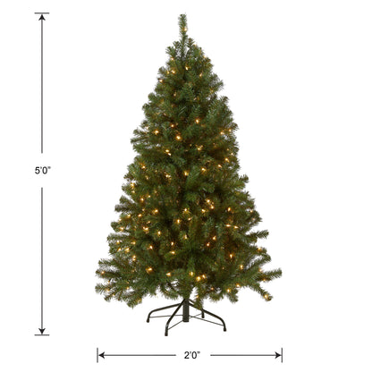 5 ft. Pre-Lit North Valley Spruce Tree with Clear LED Lights, Plug-In