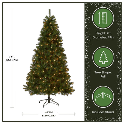 7 ft. Pre-Lit North Valley Spruce Tree with 500 Clear Lights, Plug-In
