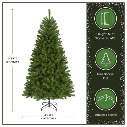 6.5 ft. North Valley Spruce Tree
