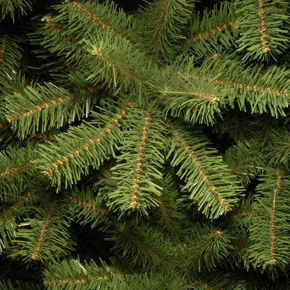 6 ft. North Valley Spruce Pencil Slim Tree