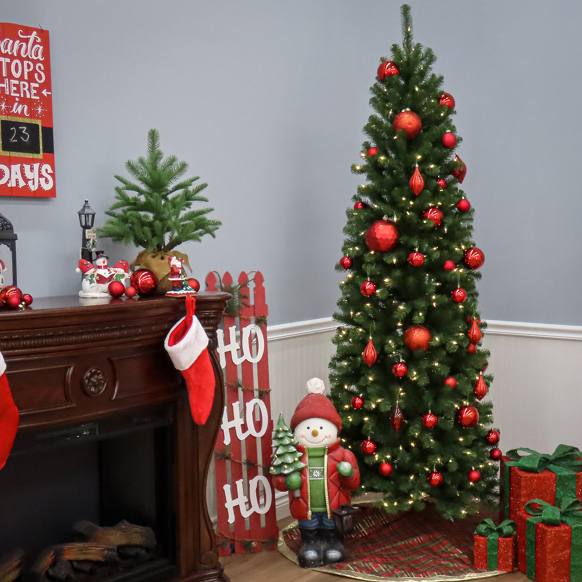 6 ft. North Valley Spruce Pencil Slim Tree