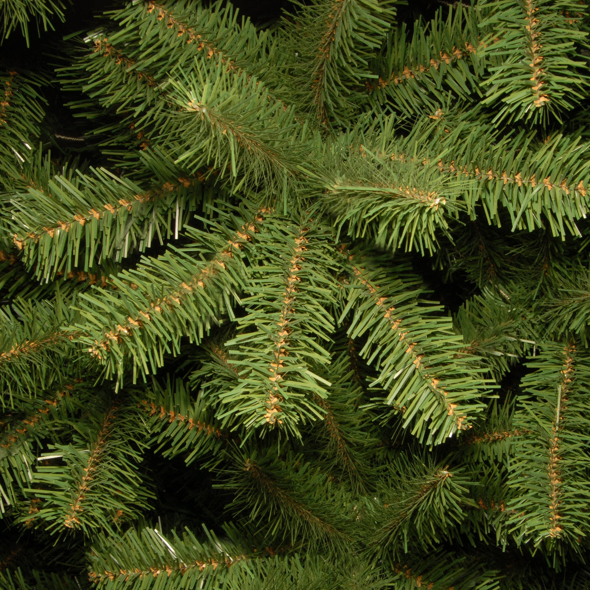 7 ft. North Valley Spruce Pencil Slim Tree
