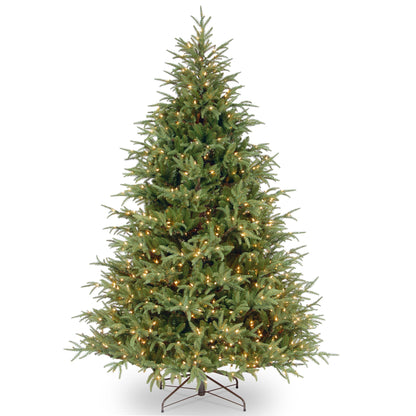 6.5 ft. Pre-Lit Fraser Grande Tree with Clear Lights, Plug-In