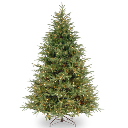 6.5 ft. Pre-Lit Fraser Grande Tree with Dual Color LED Lights, Plug-In