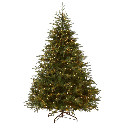 6 ft. Pre-Lit Fraser Grande with Dual Color LED Lights, Plug-In