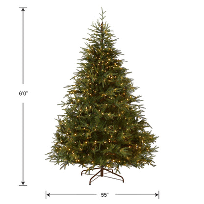 6 ft. Pre-Lit Fraser Grande with Dual Color LED Lights, Plug-In