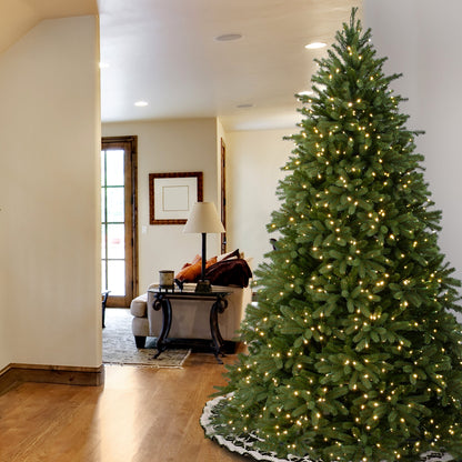 7.5 ft. Pre-Lit Jersey Fraser Fir Tree with Clear Lights, Plug-In