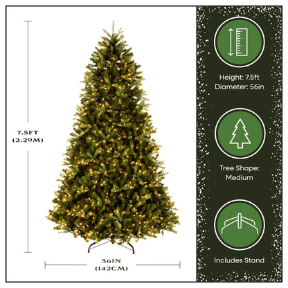 7.5 ft. Pre-Lit Jersey Fraser Fir Medium Tree with Clear Lights