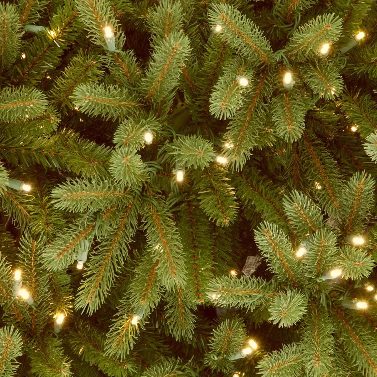 6.5 ft. Pre-Lit Jersey Fraser Fir Slim Tree with Clear Lights, Plug-In