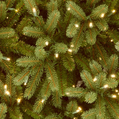 6.5 ft. Pre-Lit Jersey Fraser Fir Pencil Slim Tree with Clear Lights, Plug-In