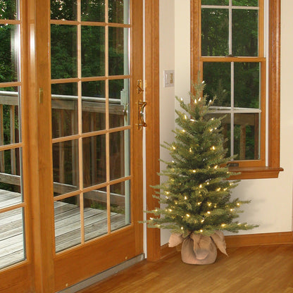 3 ft. Pre-Lit Nordic Spruce Tree with Clear Lights, Plug-In