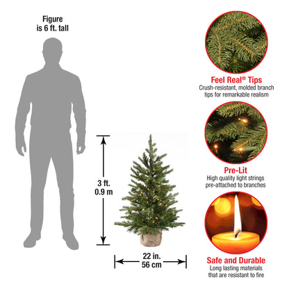 3 ft. Pre-Lit Nordic Spruce Tree with Clear Lights, Plug-In