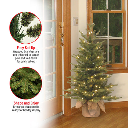 3 ft. Pre-Lit Nordic Spruce Tree with Clear Lights, Plug-In