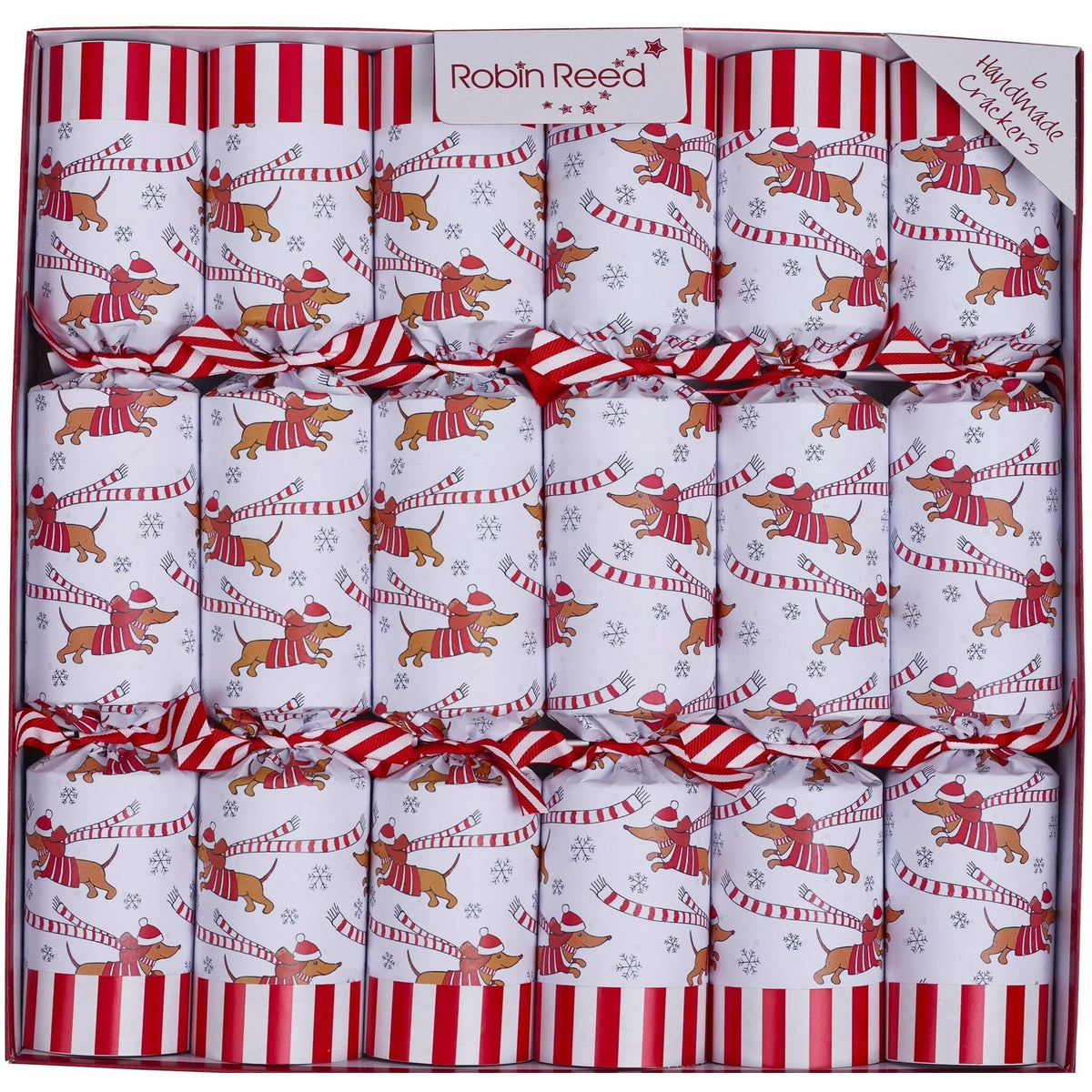 Racing Sausage Dog  Party Crackers, 13" (Set of 6)