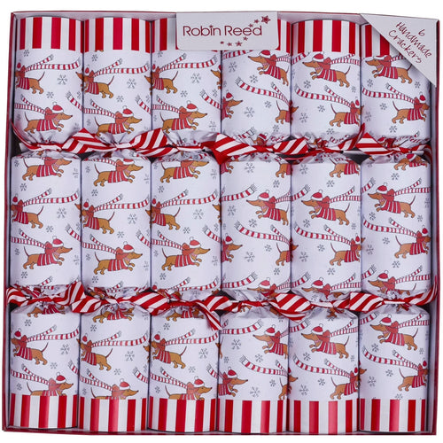 Racing Sausage Dog  Party Crackers, 13" (Set of 6)