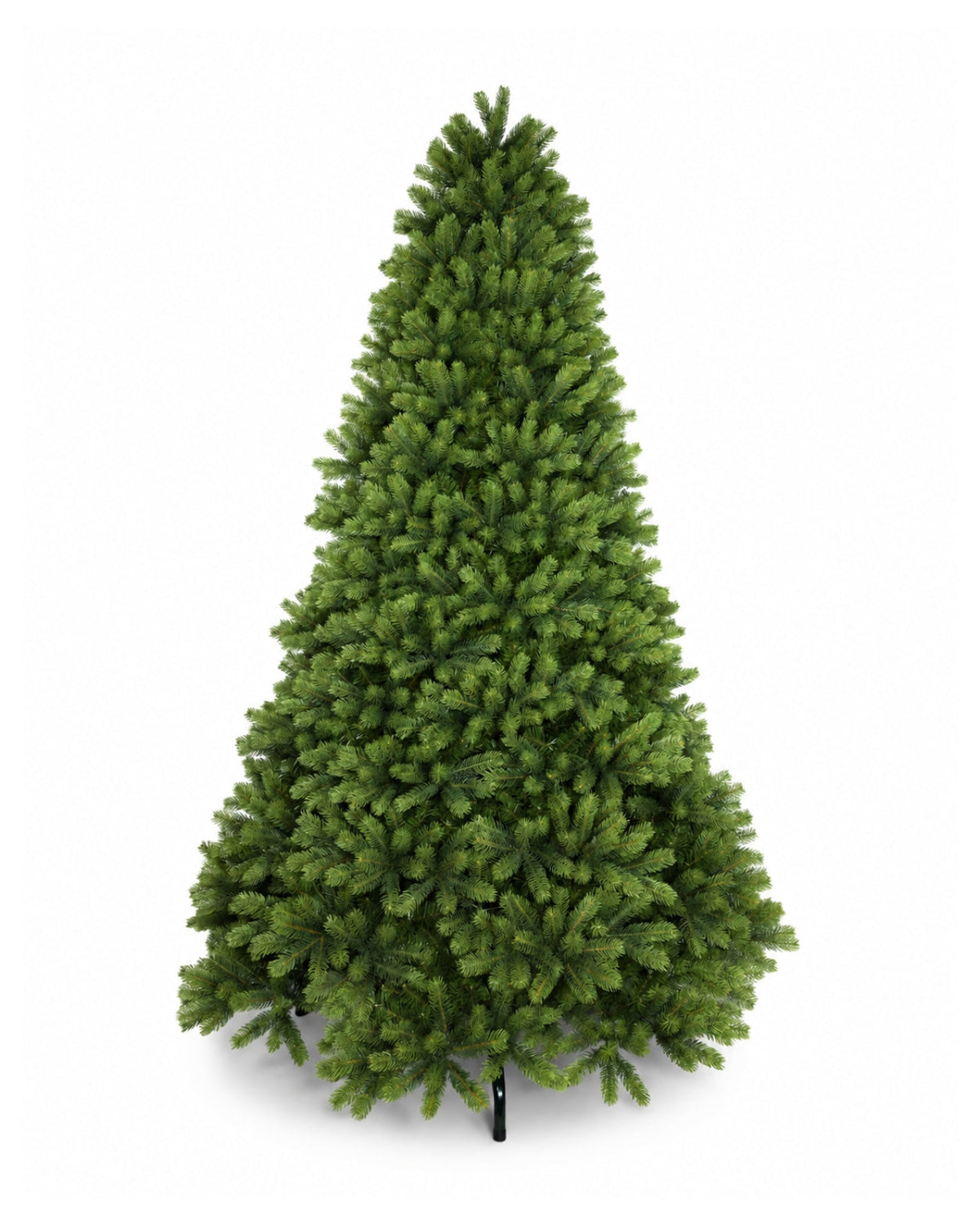 10' Royal Fir Artificial Christmas Tree with 1600 Warm White & Multi-Color LED Lights