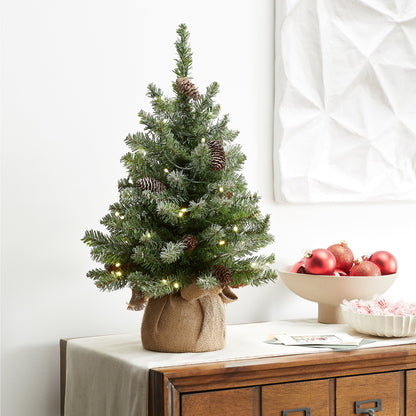 2 ft. Pre-Lit Snowy Concolor Fir Tree with LED Lights