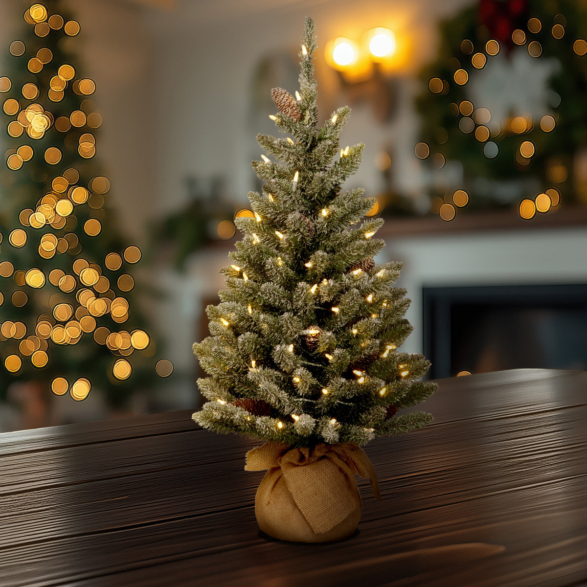 2 ft. Pre-Lit Snowy Concolor Fir Tree with LED Lights