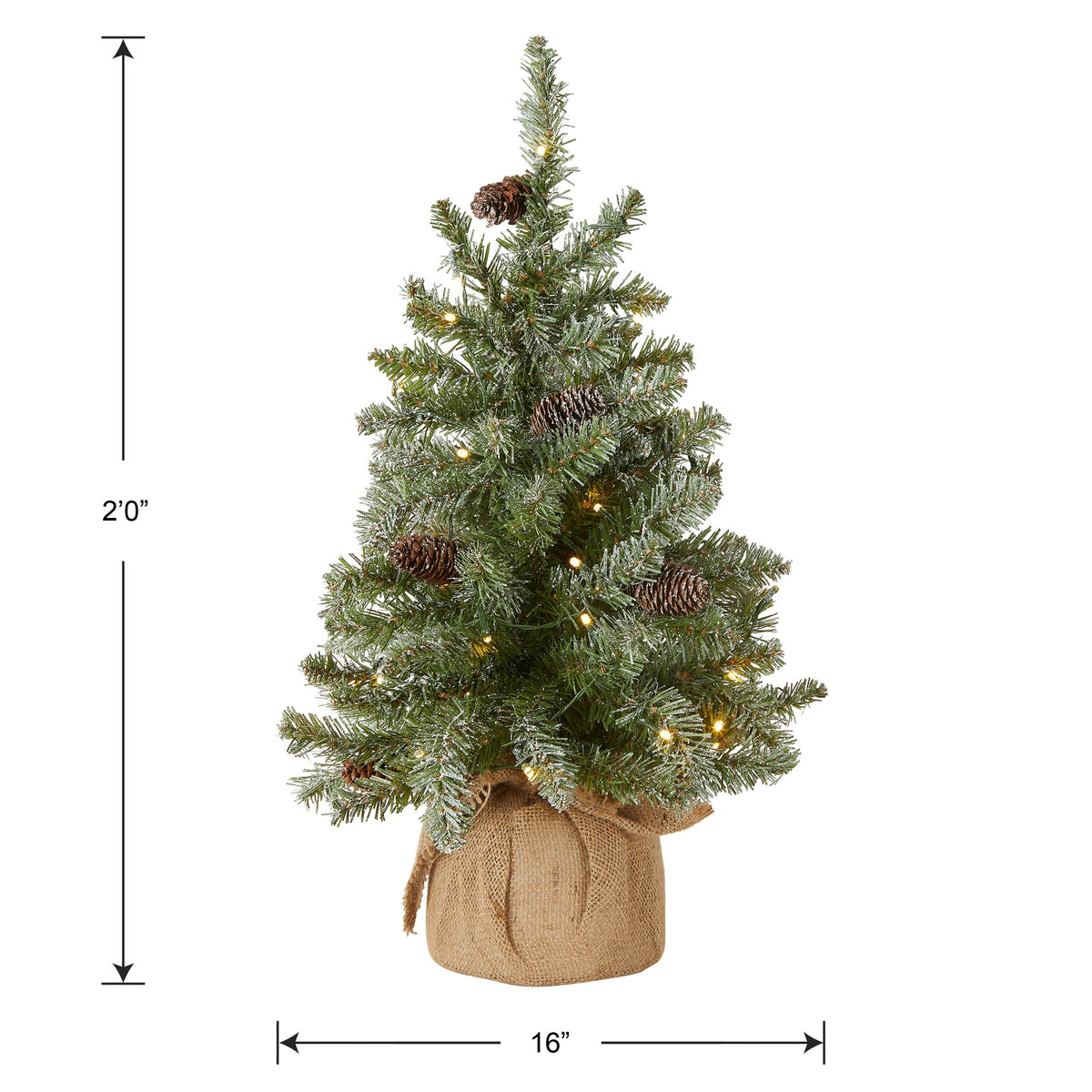 2 ft. Pre-Lit Snowy Concolor Fir Tree with LED Lights