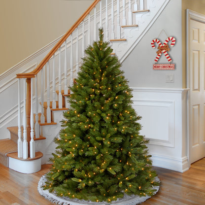 6 ft. Pre-Lit Winchester Pine Tree with Clear Lights, Plug-In