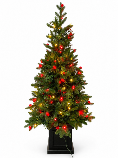 Oregon Mixed Pine Table Top Tree, Lit (Red / Warm White), 4.5'