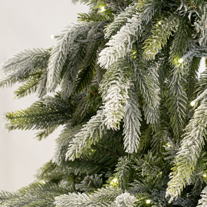 Flocked Tyrol Pine Tree, LED Lit, 6.5'